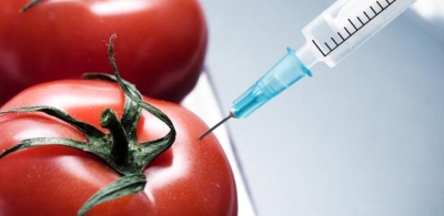 8 de abril: Día Internacional de Oposición a los Alimentos Transgénicos, ¿Por qué se celebra?