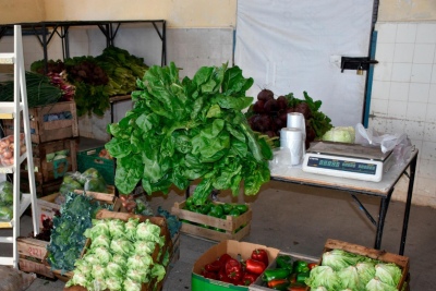 Este sábado, mercado productivo de frutas y verduras en Coronel Pringles