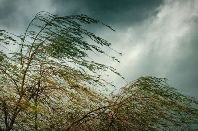 Sudoeste bonaerense: Advertencia por fuertes vientos para esta tarde y noche